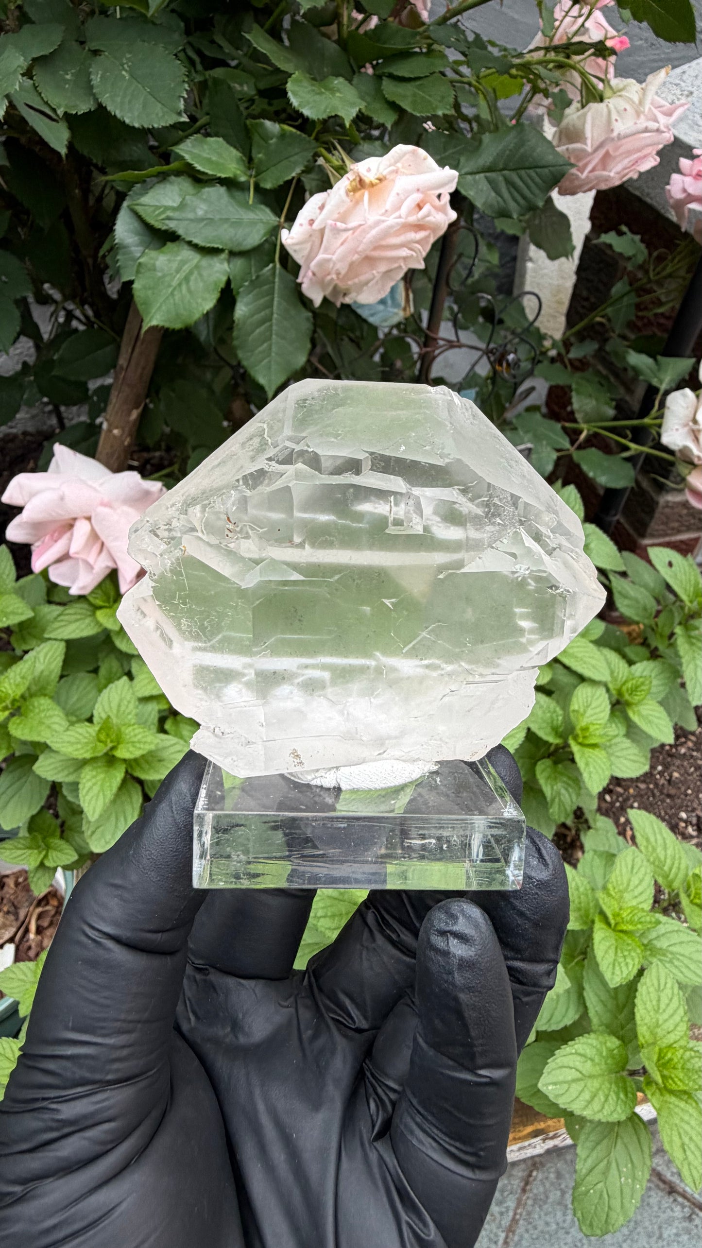 Gwindel Quartz